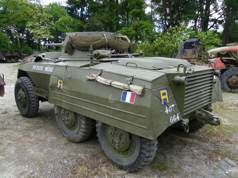 M8 Greyhound Petite Mre VMH Anjou 3.JPG