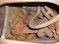 IMGP3088.JPG